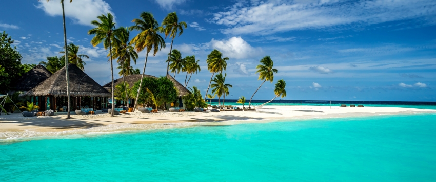 生活美学博主小七